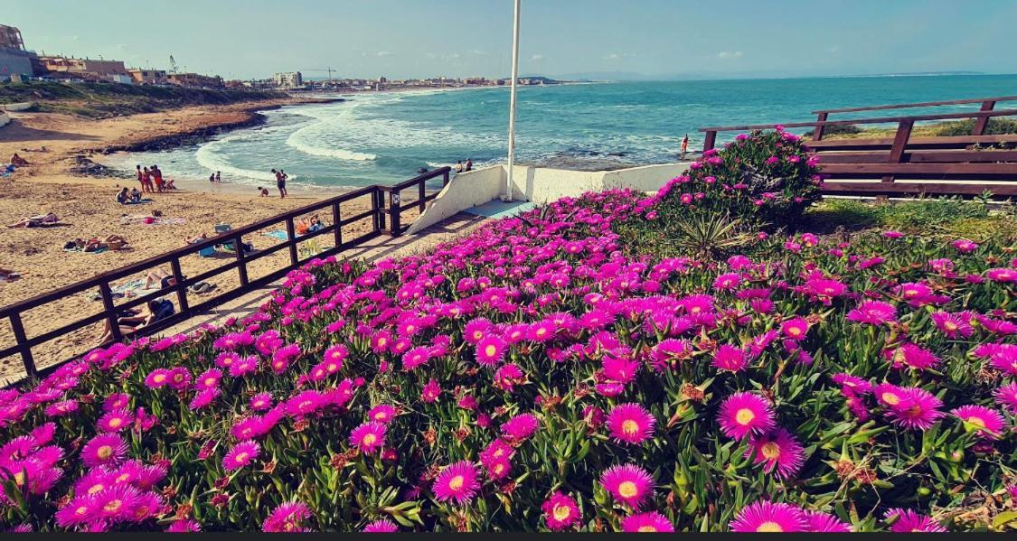 La Mata, Torrevieja Apartment Bagian luar foto